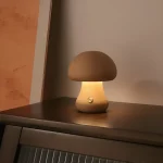 上一个商品图像